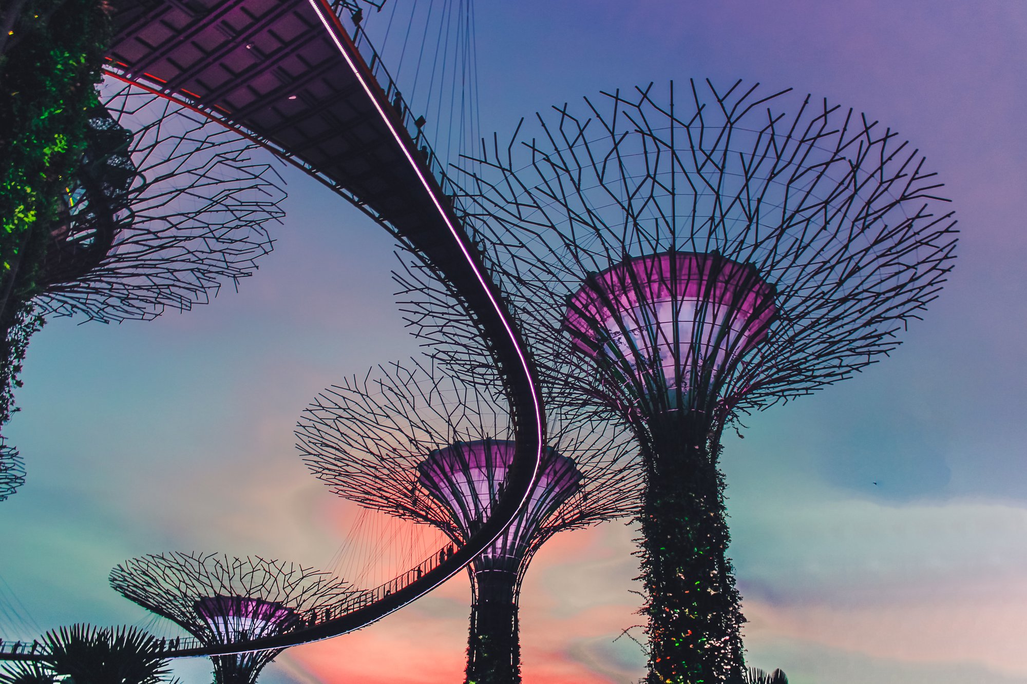 How Virtual Tour Boosts' Singapore's Tourism Amid COVID-19